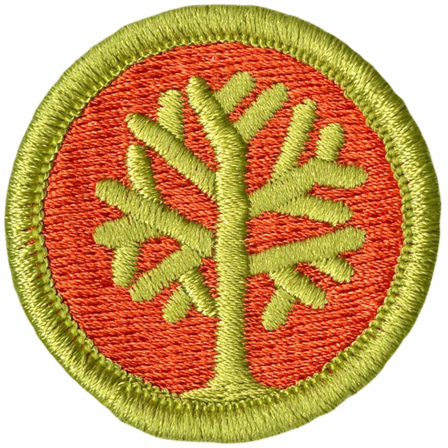 Scouting America Genealogy Merit Badge Patch