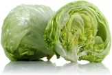 Lettus